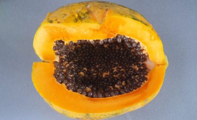 Papaya